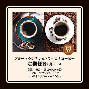 ブルーマウンテン100g＆ハワイコナコーヒー100g 定期便6ヶ月コース 豆コース 〔Ec108-B〕