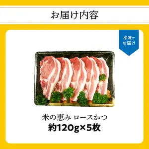 米の恵み　ロースかつ　約120g×5枚 A02011