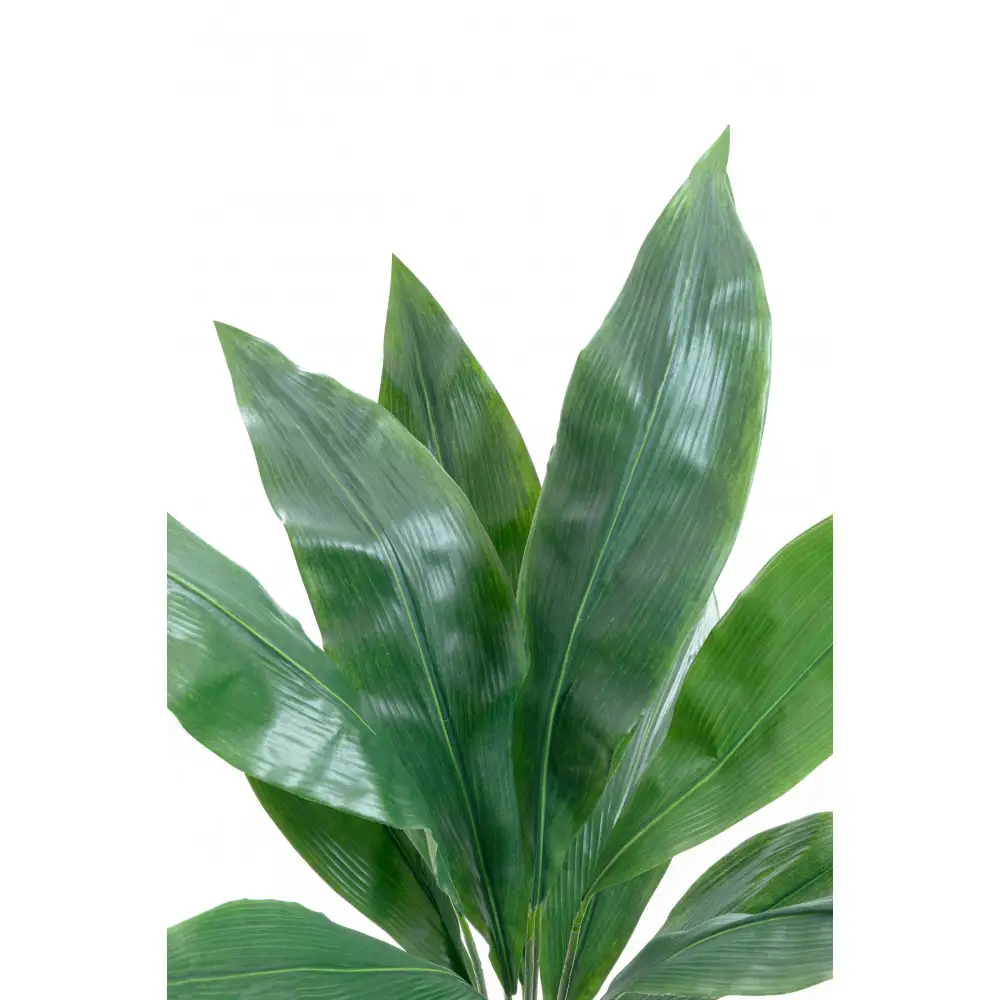 人工観葉植物　ハラン　白樹脂鉢Sサイズ付