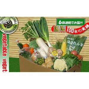 〈定期便6回〉創業100年！老舗の八百屋がチョイスした厳選やさいと旬の果物の詰め合わせ