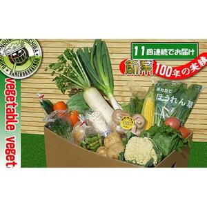 〈定期便11回〉創業100年！老舗の八百屋がチョイスした厳選やさいと旬の果物の詰め合わせ