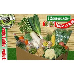 〈定期便12回〉創業100年！老舗の八百屋がチョイスした厳選やさいと旬の果物の詰め合わせ