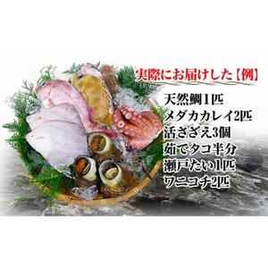 【瀬戸内海産】創業100年の魚屋さんが選び抜いた旨い鮮魚直送便～【配送不可地域：北海道・東北地方・沖縄・離島】