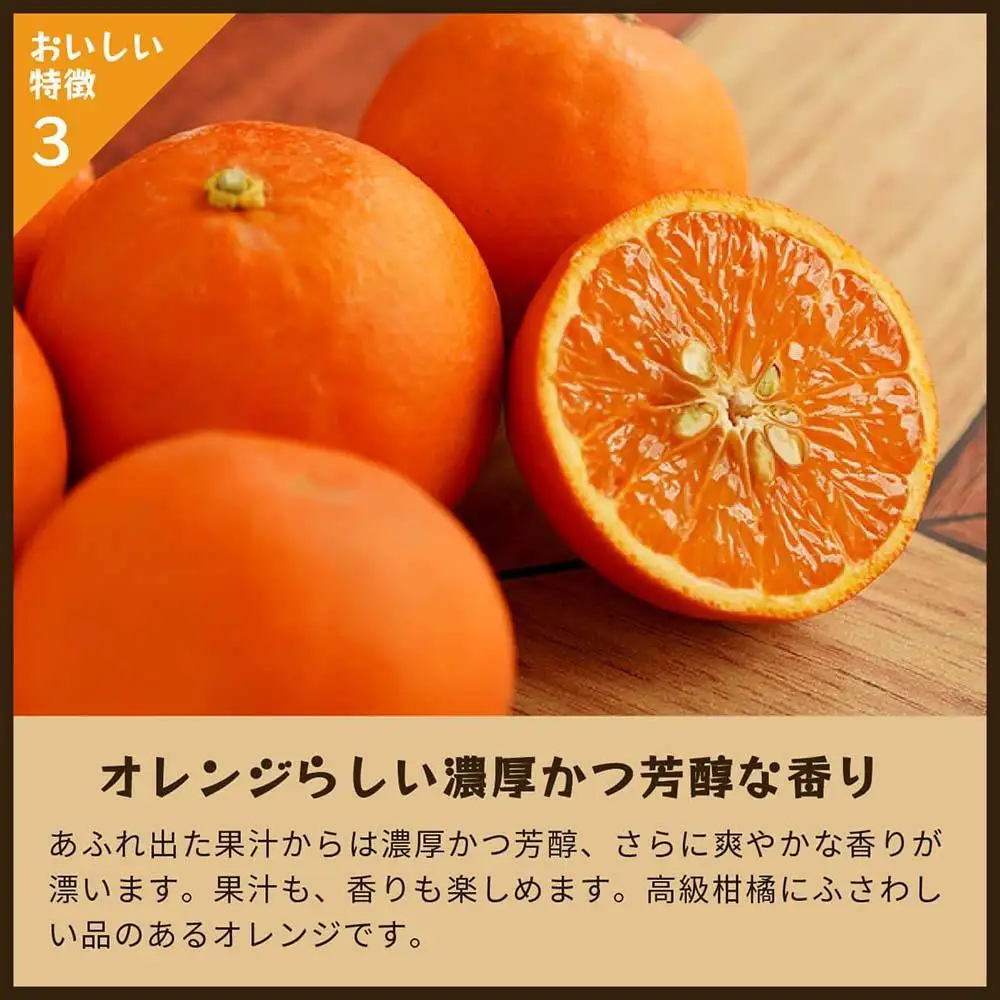 セミノール（みかん）5kg家庭用｜和歌山県海南市下津町で育てた高級オレンジを産地直送でお届け【2027年4月発送開始】