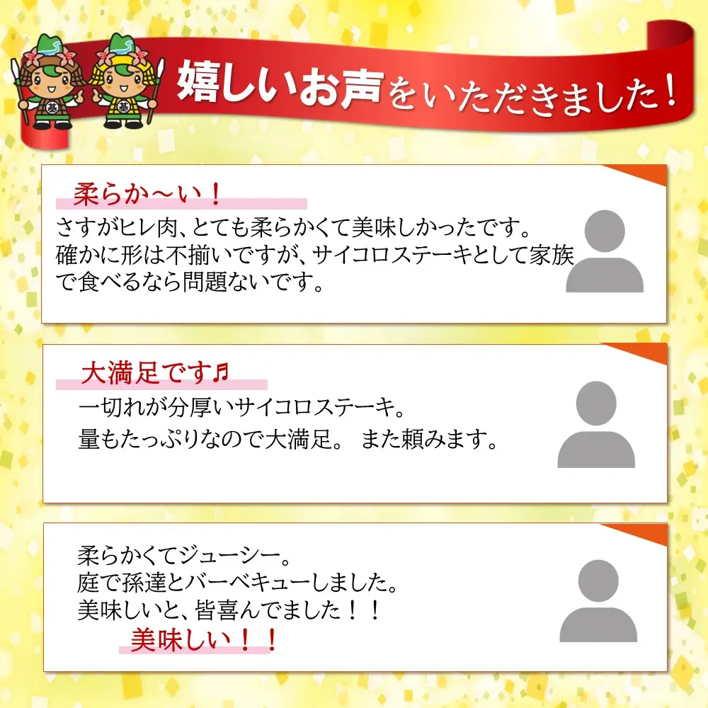【訳あり】佐賀牛 ヒレ不揃いサイコロステーキ 600g K030140
