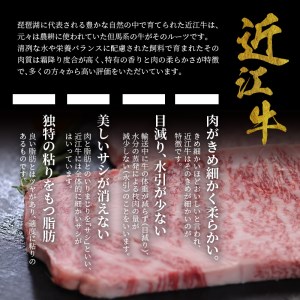 A5ランク 特選近江牛 サーロインステーキ200g×2枚 小袋ステーキソース付き 特選 近江牛 サーロインステーキ A5ランク 400g 200g×2枚 小袋ステーキソース付き 霜降り  牛肉 肉 冷凍便 国産  CY-0006