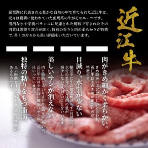 A5ランク 特選近江牛 焼き肉用 500g入 特選 近江牛 A5ランク 500g 霜降り 焼肉用  CY-0005