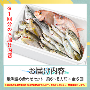 【E09001】【6回定期便】魚屋さんの選んだ新鮮お魚詰め合わせ(約6～8人分) 鹿児島 国産 九州産 産直 産地直送 鮮魚 新鮮 魚 海産物 お刺身 煮つけ 焼き魚【マルケイ水産】