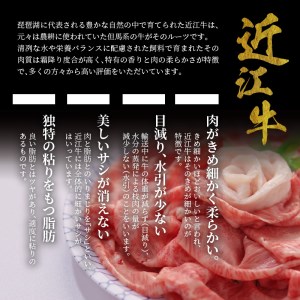 A5ランク 特選近江牛すき焼き・しゃぶしゃぶ用 500g入 近江牛 日本3大和牛 CY-0004