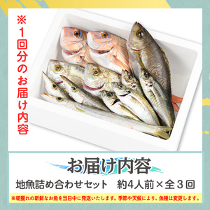 【C09002】【3回定期便】魚屋さんの選んだ新鮮お魚詰め合わせ(約4人分) 鹿児島 国産 九州産 産直 産地直送 鮮魚 新鮮 魚 海産物 お刺身 煮つけ 焼き魚【マルケイ水産】