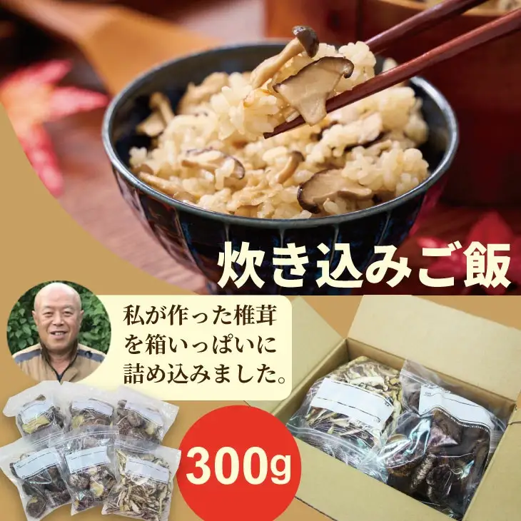 俺の作った原木乾燥しいたけ（サイズ大・中・小・カット）300g 椎茸 B110-038