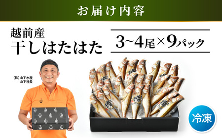 越前産 干しはたはた（3～4尾）× 9パック 完全無添加！越前塩のみで仕上げた一塩干し！【無添加 干物 海鮮 冷凍 個包装】 [e04-a107]