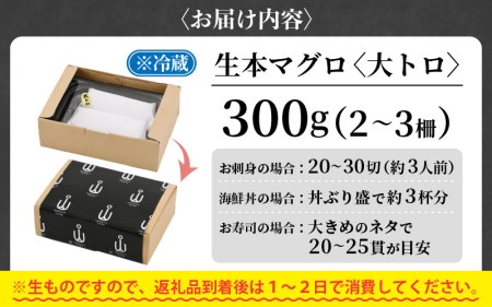 まぐろの王様！生本マグロ 大トロ 300g [e04-b029]