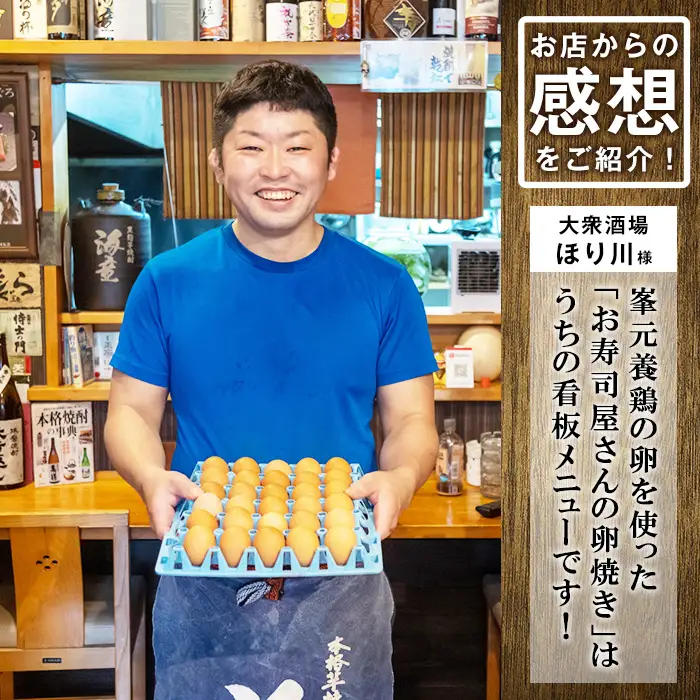 たまご　6パック 60個入り　健康電子たまご　(内10個 宅配破損時 保証卵付) 【00-095-03】
