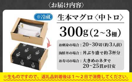  まぐろの王様！生本マグロ 中トロ 300g  [e04-a081]