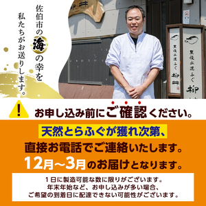 数量限定！豊後水道 天然とらふぐ 特別便 (約5人前) ふぐ フグ とらふぐ ヒレ 皮 アラ てっちり鍋 鍋 ふぐ唐揚げ ふぐ刺し フグ刺し 刺身 鮮魚 冷蔵 国産【AB104】【柳井商店】