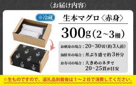 まぐろの王様！生本マグロ 赤身 300g  [e04-a082]