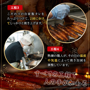 鹿児島県産 うなぎ せいろ蒸し弁当 3個 うなぎ 【00-025-06】