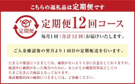 【定期便 年12回】球磨球子 40個入×12回 鶏卵 卵 玉子 たまご くまたまご（破損保証有り）