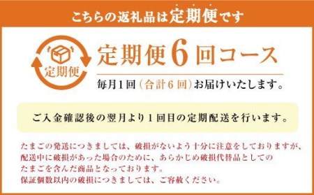 【定期便 年6回】球磨球子 40個入×6回 鶏卵 卵 玉子 たまご くまたまご（破損保証有り）