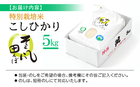 【中日賞受賞】 特別栽培米 コシヒカリ 5kg（有機肥料100% 農薬7割減）「そよ風田んぼ」田んぼの天使 [e10-a019]