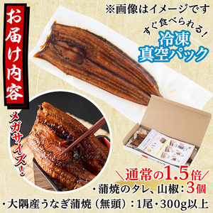 うなぎ 国産 蒲焼 無頭 1尾 (300g) 特大 アクアおおすみ 0104312a