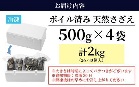 【先行予約】天然 さざえ ボイル済 26～30個入 2kg（500g × 4袋）産地直送でお届け！【2026年6月中旬より順次発送】 【越前町産 栄螺 サザエ 冷凍 小分け 海鮮 BBQ バーベキュー】 [e14-a011]