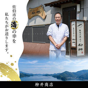 ＜訳あり・業務用＞乾燥 ふぐひれ (約100g・80枚以上) とらふぐ ふぐ フグ ひれ ヒレ 河豚 ひれ酒 養殖 業務用 国産 大分県 佐伯市【AB212】【柳井商店】