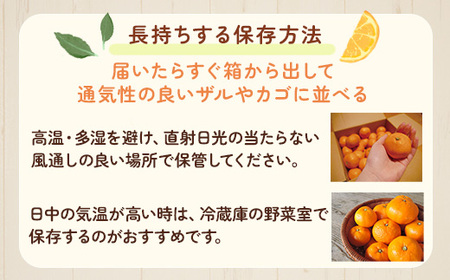 家庭用 大きな有田みかん5kg+250g（傷み補償分）【わけあり・訳あり】【光センサー選果】