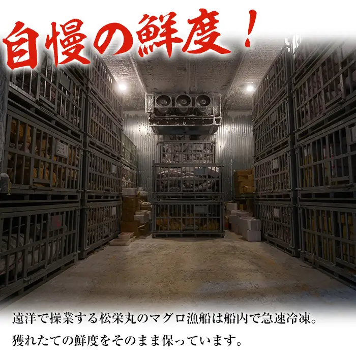 南まぐろの大トロ・中トロセット 南まぐろ刺身用大トロ、上トロ、中トロ各1本（約600g） 希少な天然南まぐろをご家庭で！【00-019-03】
