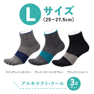 和紙×コラーゲンナイロン異素材コラボで足の悩みをサポート 爽快な履き心地 アルキテクト・クール3足入り（3色/L寸） 〔Qm010〕