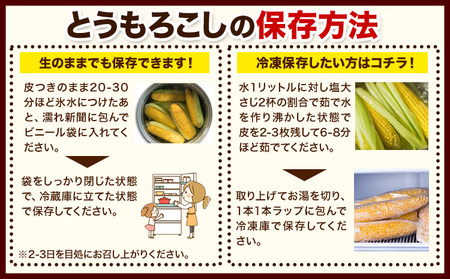 先行予約】朝採りとうもろこし スーパースィート 「ゴールドラッシュ