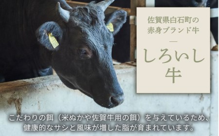 手ごねハンバーグ 5個＆切り落とし 1000g / ハンバーグ 牛肉切り落とし [IAH178]
