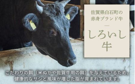 手ごねハンバーグ 5個＆牛肉100%ふんわりロールステーキ 4個 / ハンバーグ ステーキ [IAH183]