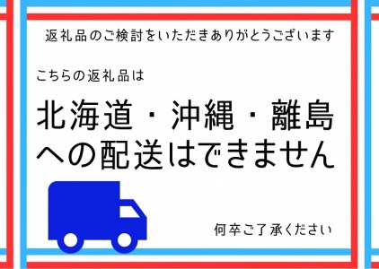 ベイクドチーズのタルト【直径21cm・7号】Bistro仙人掌  訳あり タルト