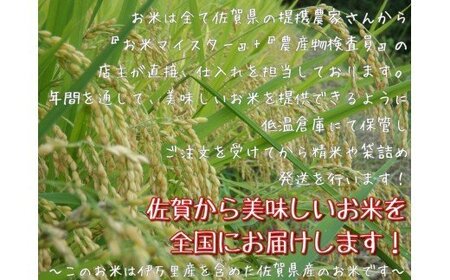 《マイスターセレクト》さがびより【白米】5kg【特A評価】 086-B771 米 お米 精米 白米