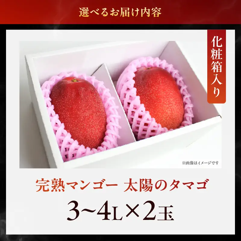 【先行予約/数量限定】完熟マンゴー『太陽のタマゴ』２玉（約１kg）/ 太陽のタマゴ 濃厚 甘い マンゴー 果物 宮崎県 綾町【JA綾町】_A0114-1001
