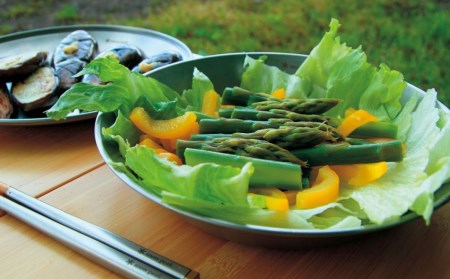 スノーピーク テーブルウェアセット L TW-021 キャンプ用品 アウトドア用品 食器 皿 お皿 大人気 防災 防災グッズ スノーピーク(Snow Peak)  【012S036】