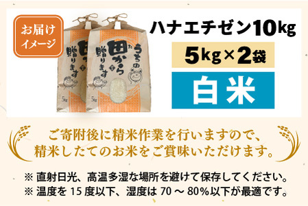【先行予約】【令和8年産・新米】 ハナエチゼン10kg(5kg×2袋) ～本原農園からまごころコメて～（白米）【2026年9月上旬以降順次発送予定】 [B-8946_01] 