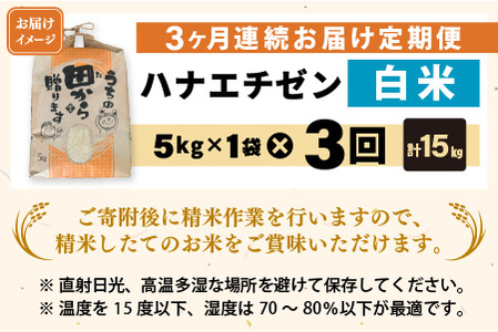 【先行予約】【令和8年産・新米】定期便 ≪3ヶ月連続お届け≫ ハナエチゼン5kg×3回 計15kg ～本原農園からまごころコメて～（白米）【2026年9月上旬以降順次発送予定】 [C-8965_01]