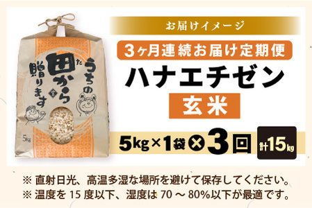 【先行予約】【令和8年産・新米】定期便 ≪3ヶ月連続お届け≫ ハナエチゼン5kg×3回 計15kg ～本原農園からまごころコメて～（玄米）【2026年9月上旬以降順次発送予定】 [C-8965_02]