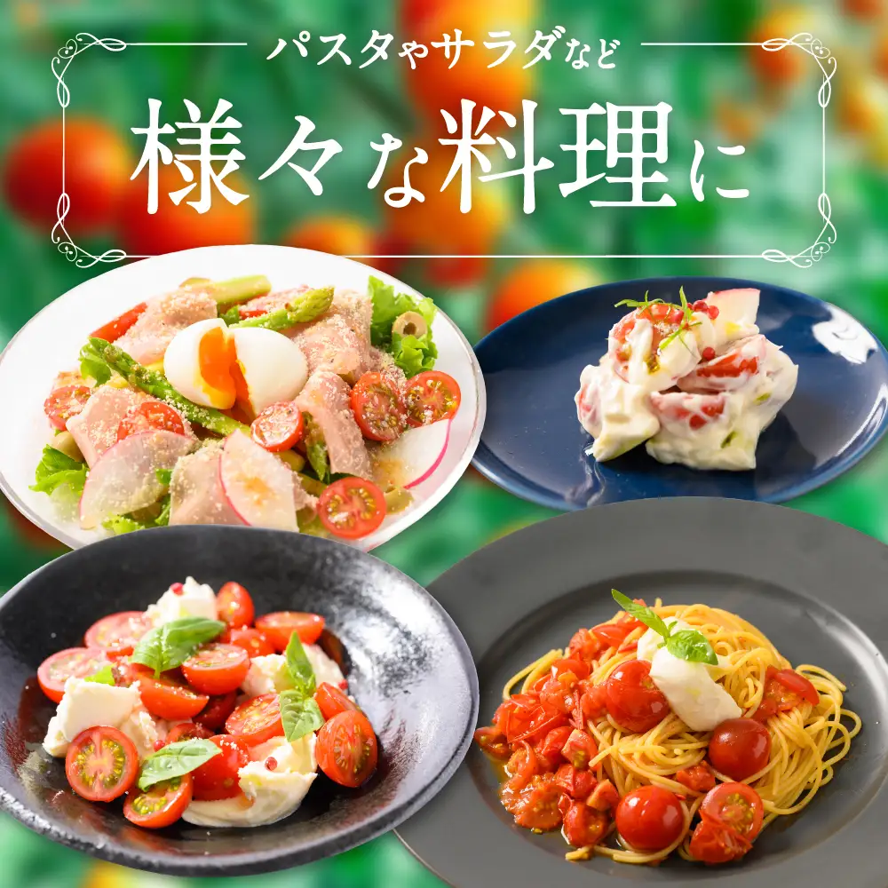 ミニトマト 1.2kg以上 野菜ソムリエ岡田健志郎 八代市産 トマト