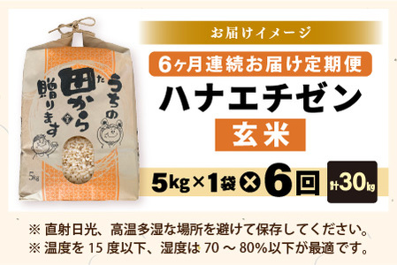 【先行予約】【令和8年産・新米】定期便 ≪6ヶ月連続お届け≫ ハナエチゼン5kg×6回 計30kg ～本原農園からまごころコメて～（玄米）【2026年9月上旬以降順次発送予定】 [F-8910_02]