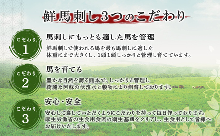 馬刺し 熊本 赤身 ユッケ 霜降り 鮮馬刺し バラエティー 3種 セット 食べ比べ 馬刺 馬肉 肉 お肉 冷凍 