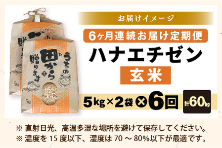 【先行予約】【令和8年産・新米】定期便 ≪6ヶ月連続お届け≫ ハナエチゼン10kg×6回 計60kg ～本原農園からまごころコメて～（玄米）【2026年9月上旬以降順次発送予定】 [K-8910_02]