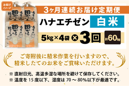 【先行予約】【令和8年産・新米】定期便 ≪3ヶ月連続お届け≫ ハナエチゼン20kg×3回 計60kg （白米）【2026年9月上旬以降順次発送予定】 [K-8909_01]