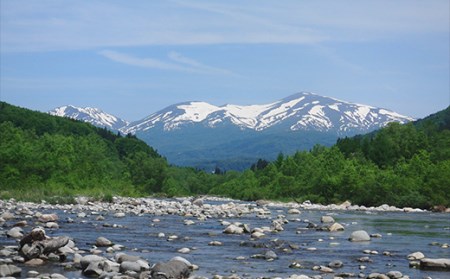 【山形の極み】月光の水 ～月山自然水～ 2L×18本 F2Y-5342