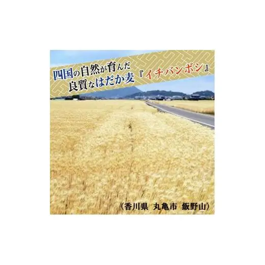 国産クール麦400g×20袋セット
