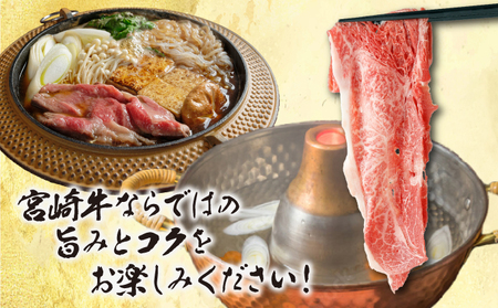 宮崎牛 ウデスライス 計800g（400g×2）_K030-005