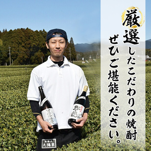 岩川醸造 本格麦焼酎 飲み比べ小瓶×3本！ 麦焼酎 酒 アルコール 【大隅家】A329-v01